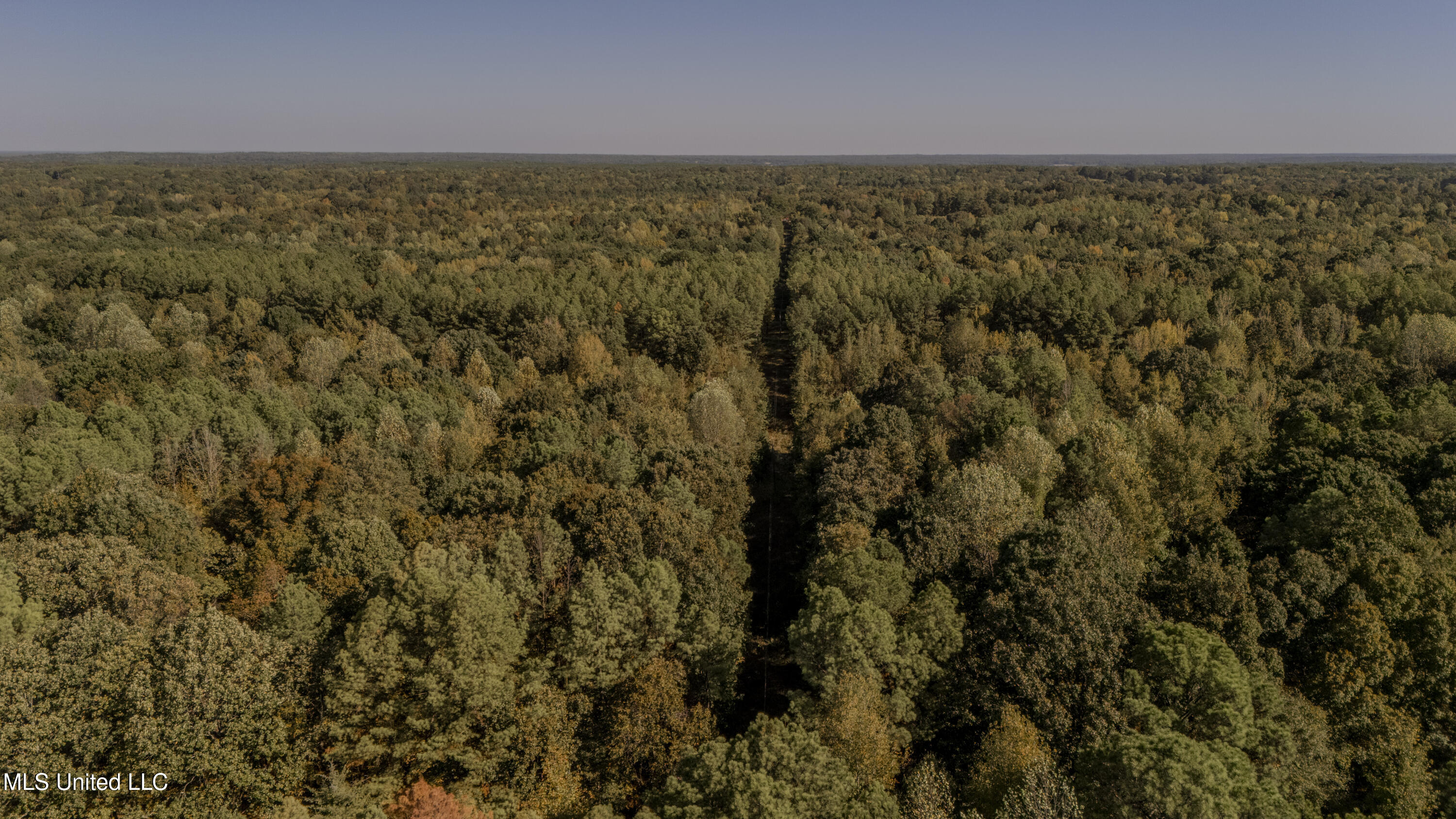 Padgett Drive Enid, MS 38927 - Photo 6 of 9 110 acre -50