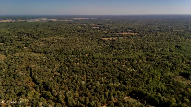 $252,000 | Padgett Drive, Enid, MS 38927