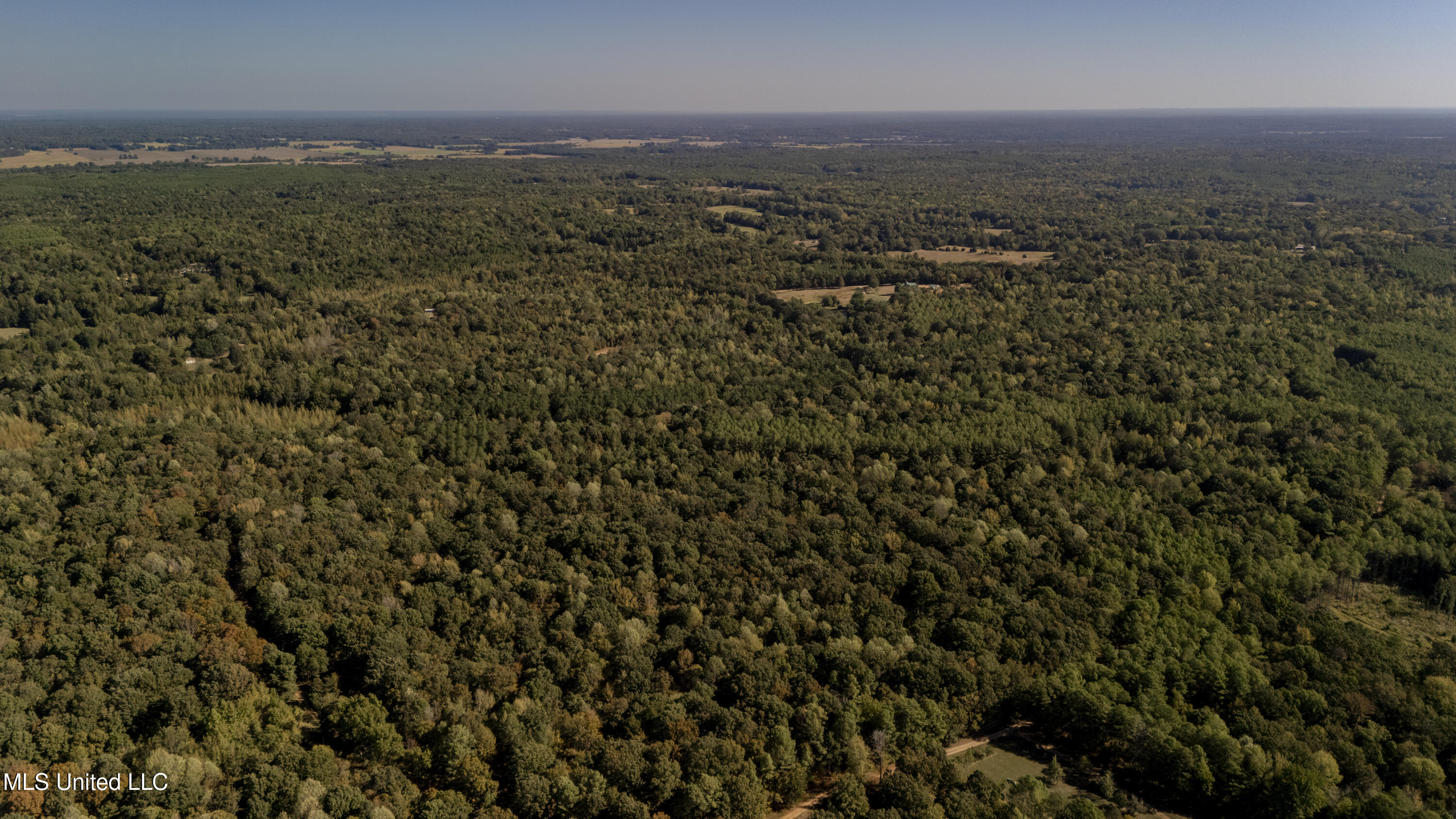 Padgett Drive Enid, MS 38927 - Photo 7 of 9 110 acre -52