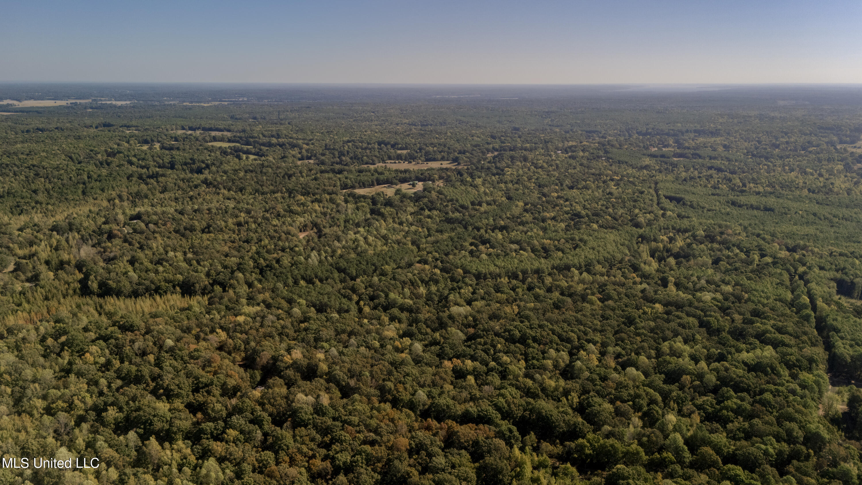 Padgett Drive Enid, MS 38927 - Photo 8 of 9 110 acre -53