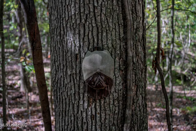 $252,000 | Padgett Drive, Enid, MS 38927