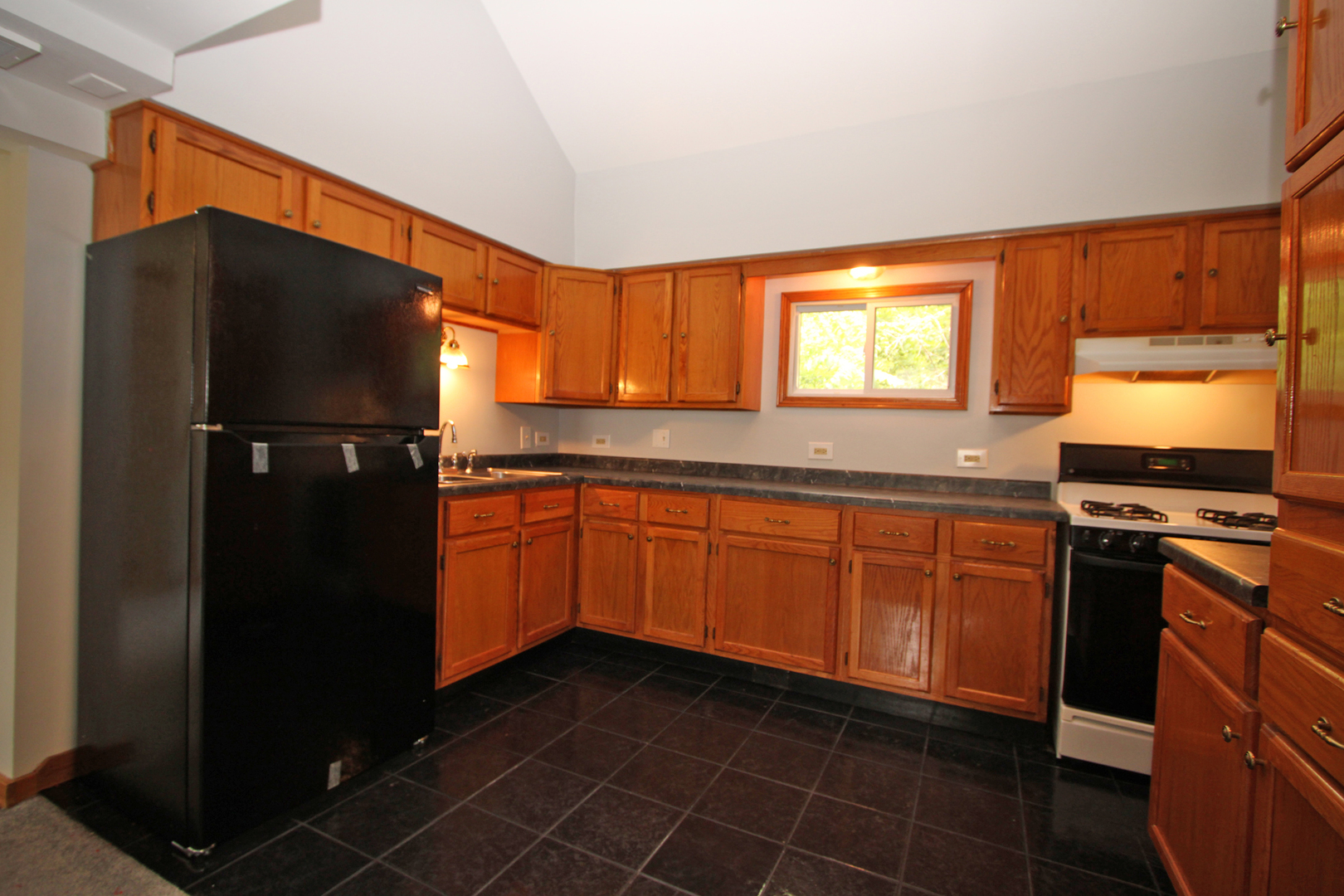 338 East Lakeview Avenue Round Lake Beach, IL 60073 - Photo 20 of 35