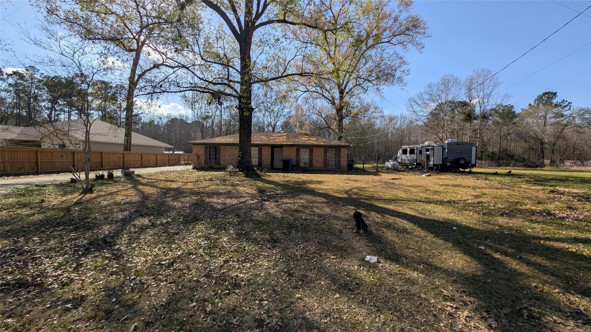 257 County Road 3669B Splendora, TX 77372 - Photo 14 of 14 a view of a yard with a house