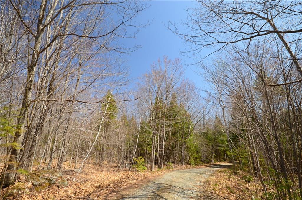 7 Mcnulty Road Rome, ME 04963 - Photo 12 of 21 Land