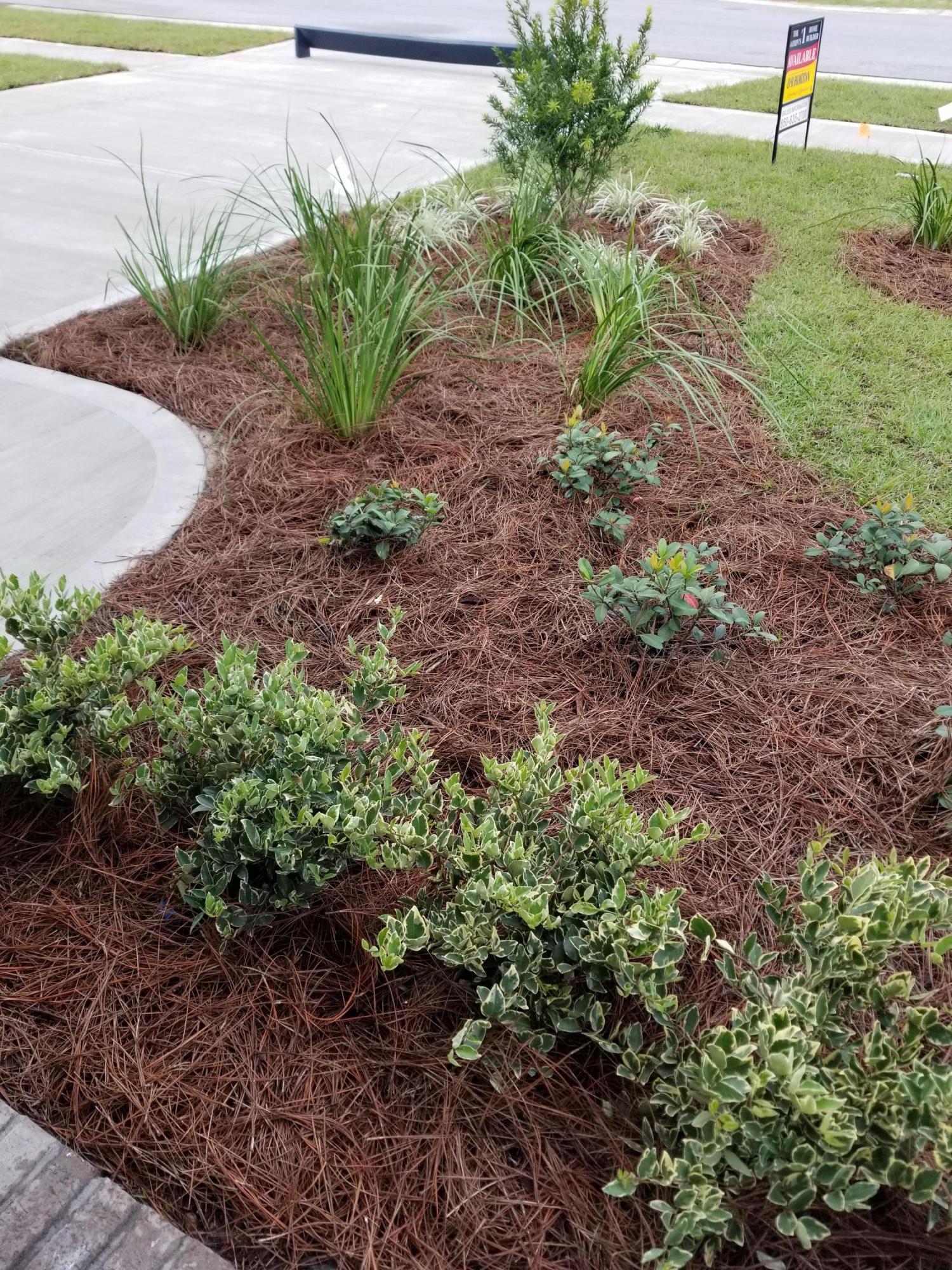 90 Lottie Loop Freeport, FL 32439 - Photo 6 of 49 Gallery Image 6