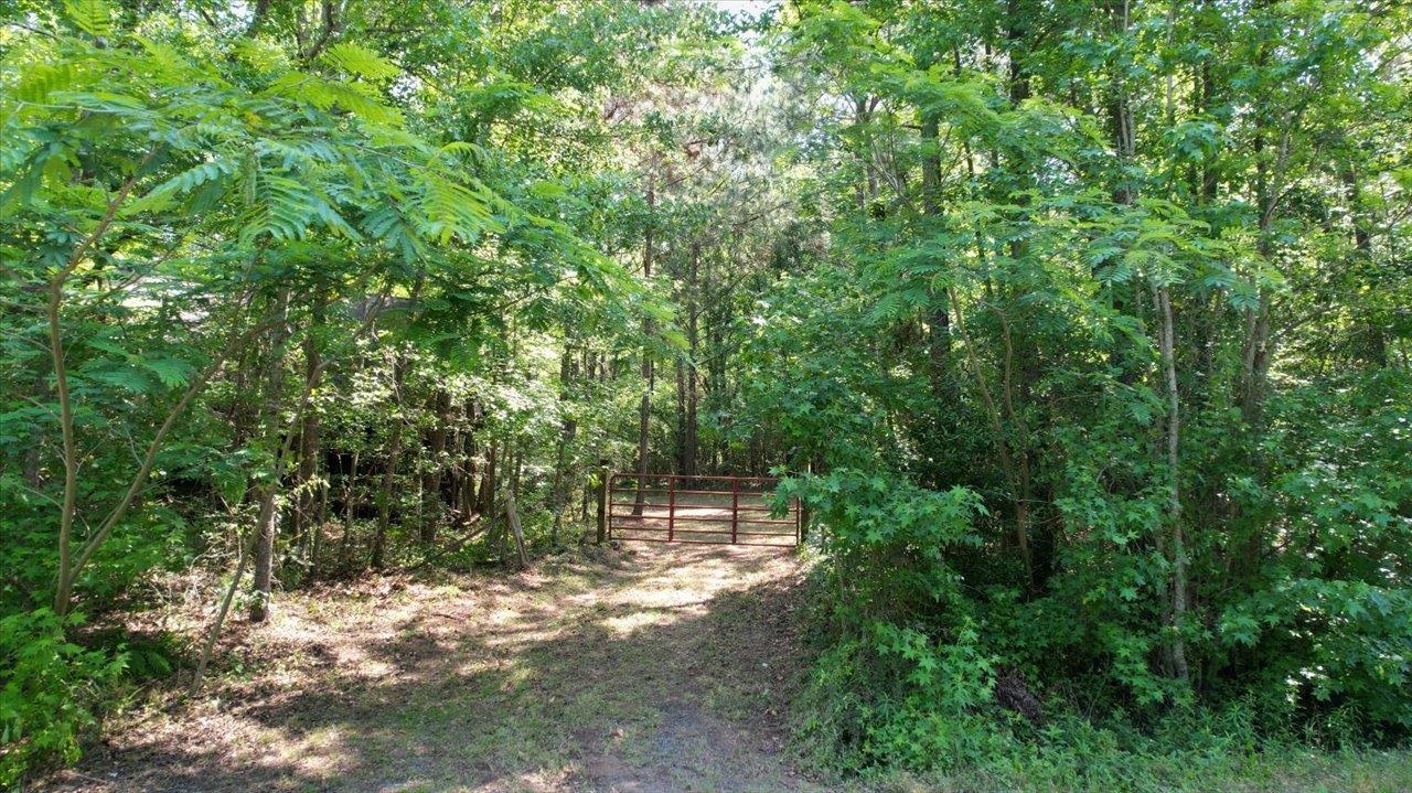 6570 Salem Road Quincy, FL 32352 - Photo 20 of 38 Gallery Image 20