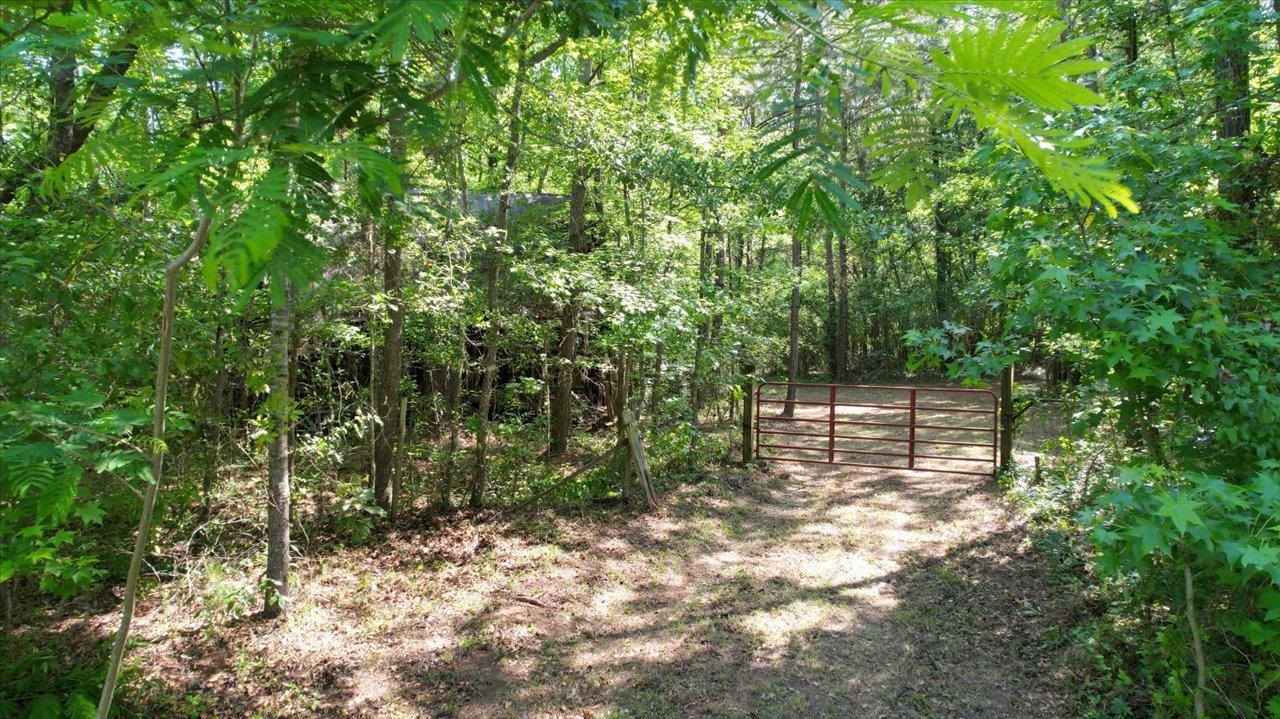 6570 Salem Road Quincy, FL 32352 - Photo 21 of 38 Gallery Image 21