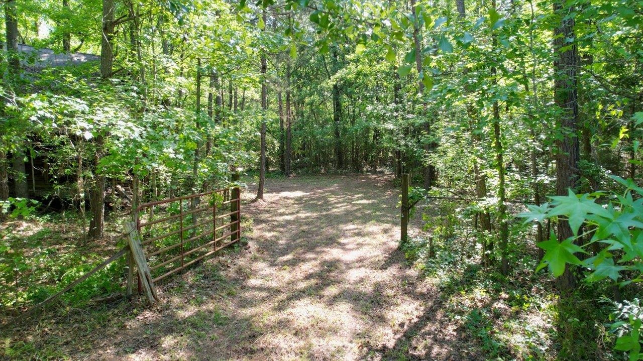 6570 Salem Road Quincy, FL 32352 - Photo 32 of 38 Gallery Image 32
