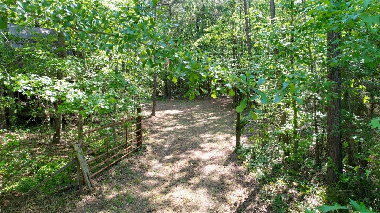6570 Salem Road Quincy, FL 32352 - Photo 8 of 38 Gallery Image 8