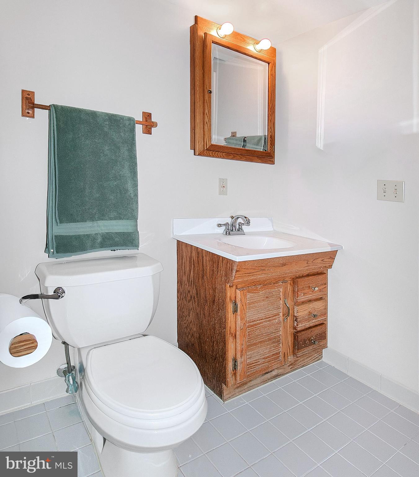 12415 Caisson Road Fairfax, VA 22030 - Photo 30 of 39 a bathroom with a toilet a sink and mirror