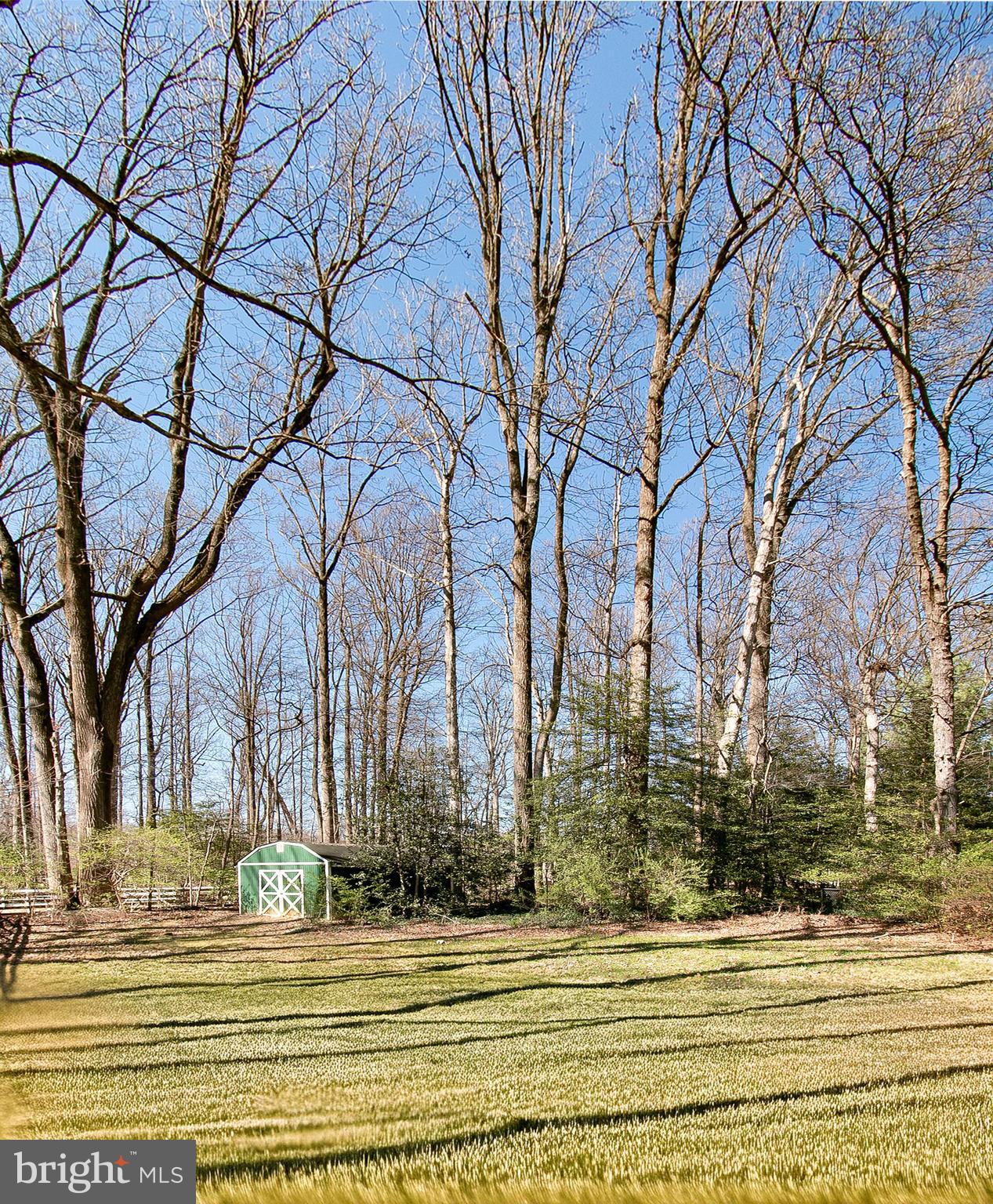 12415 Caisson Road Fairfax, VA 22030 - Photo 36 of 39 a view of a yard and trees