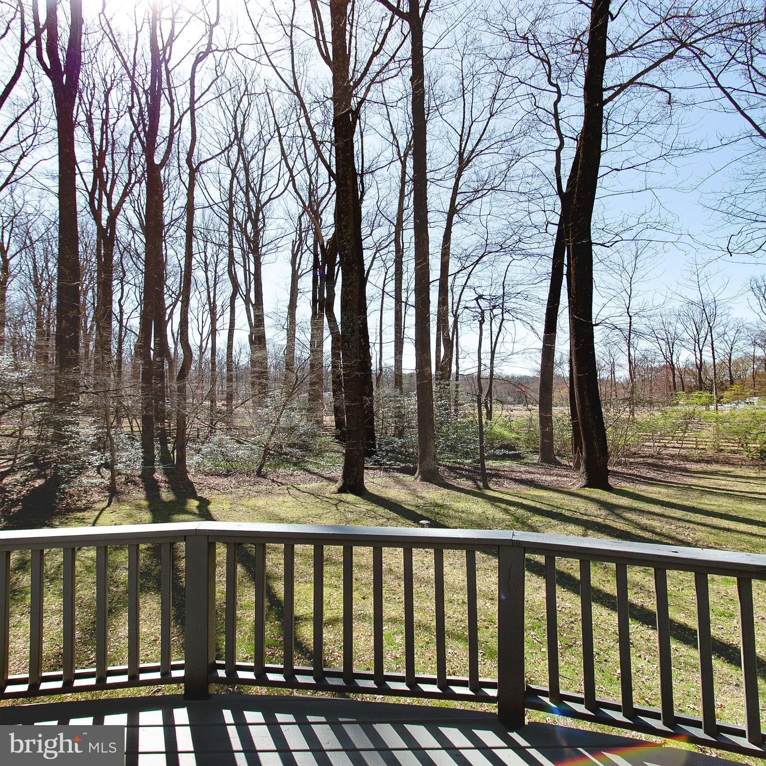 12415 Caisson Road Fairfax, VA 22030 - Photo 6 of 39 a view of a balcony with trees