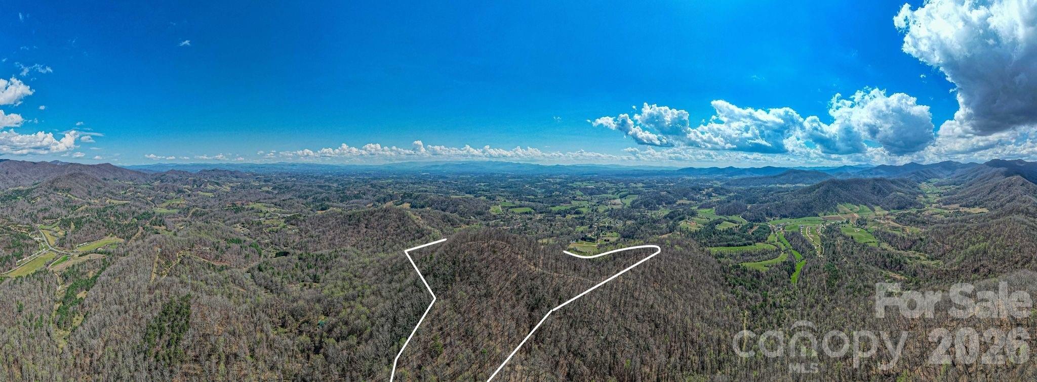 9999 Sandy Mush Creek Road Leicester, NC 28748 - Photo 1 of 9