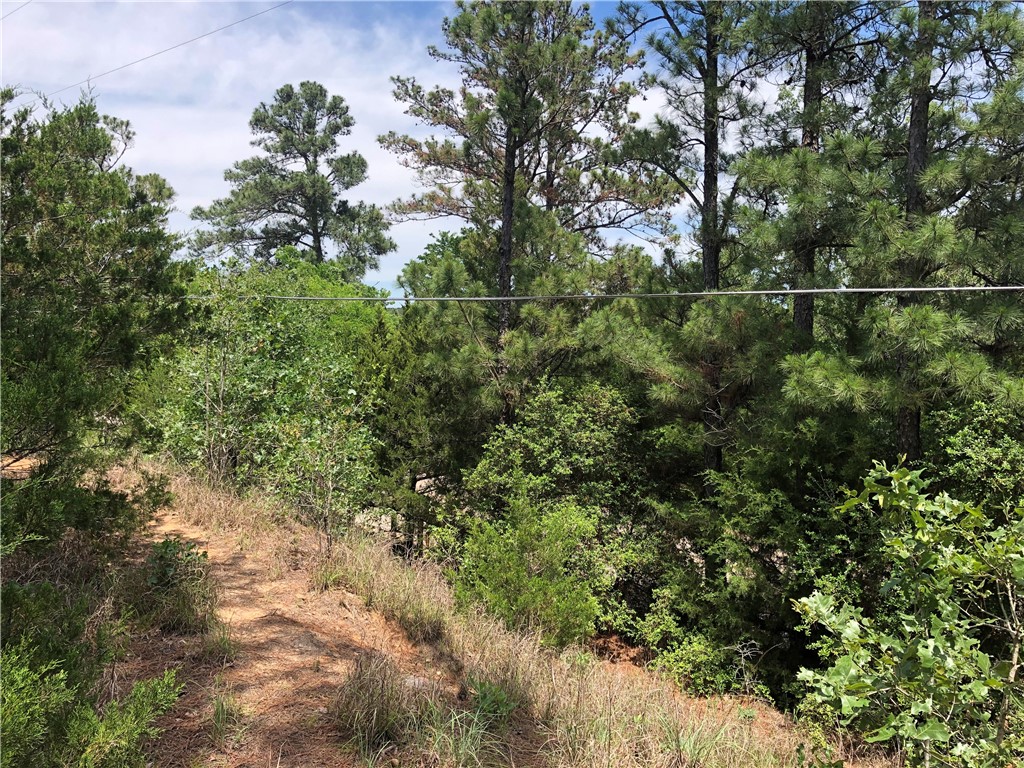 Tbd South Shore Road Bastrop, TX 78602 - Photo 1 of 1