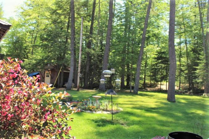 295 Scotts Point Road Clifton, ME 04428 - Photo 7 of 31 lawn