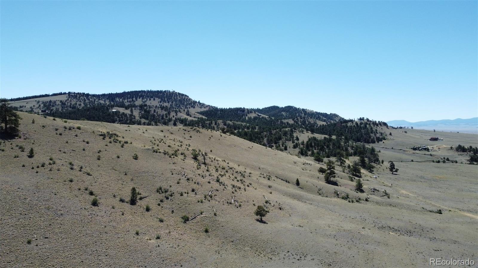 Hardwood Loop Hartsel, CO 80449 - Photo 16 of 38
