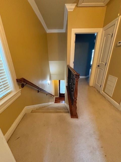 1500 Seminole Avenue, Unit E Metairie, LA 70005 - Photo 10 of 12