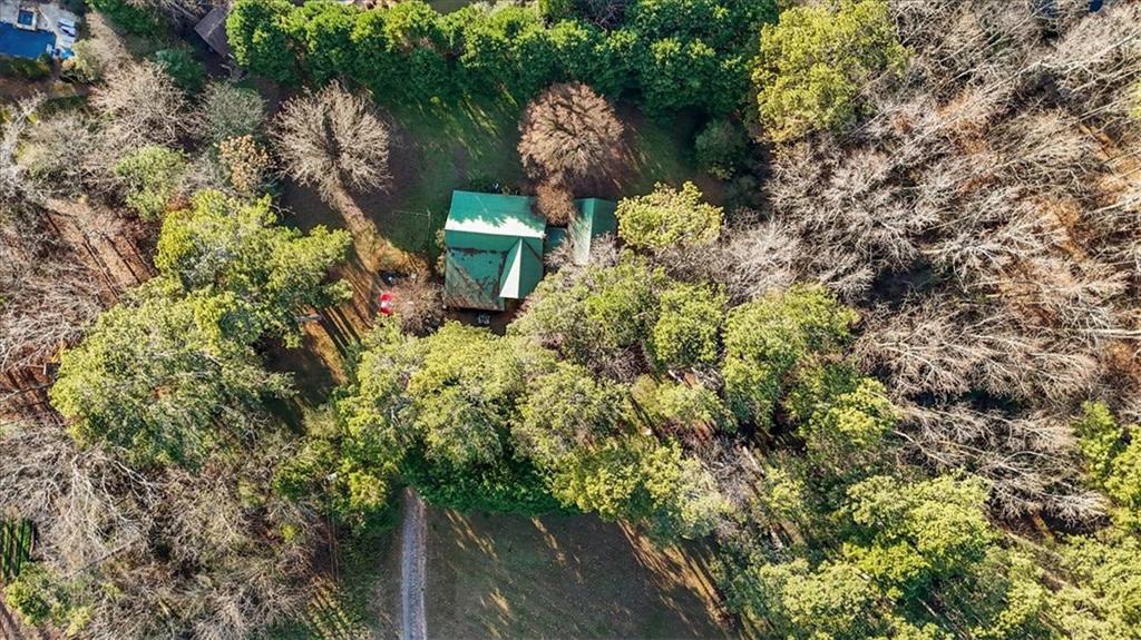 16049 Hopewell Road Alpharetta, GA 30004 - Photo 15 of 30 a view of a yard in a yard