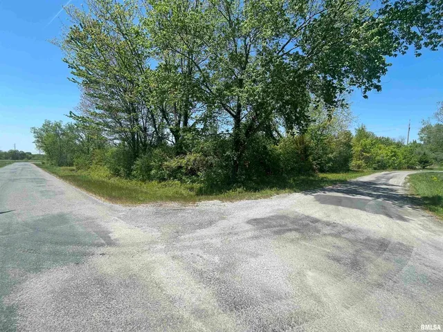 a view of a dirt road with trees in the background