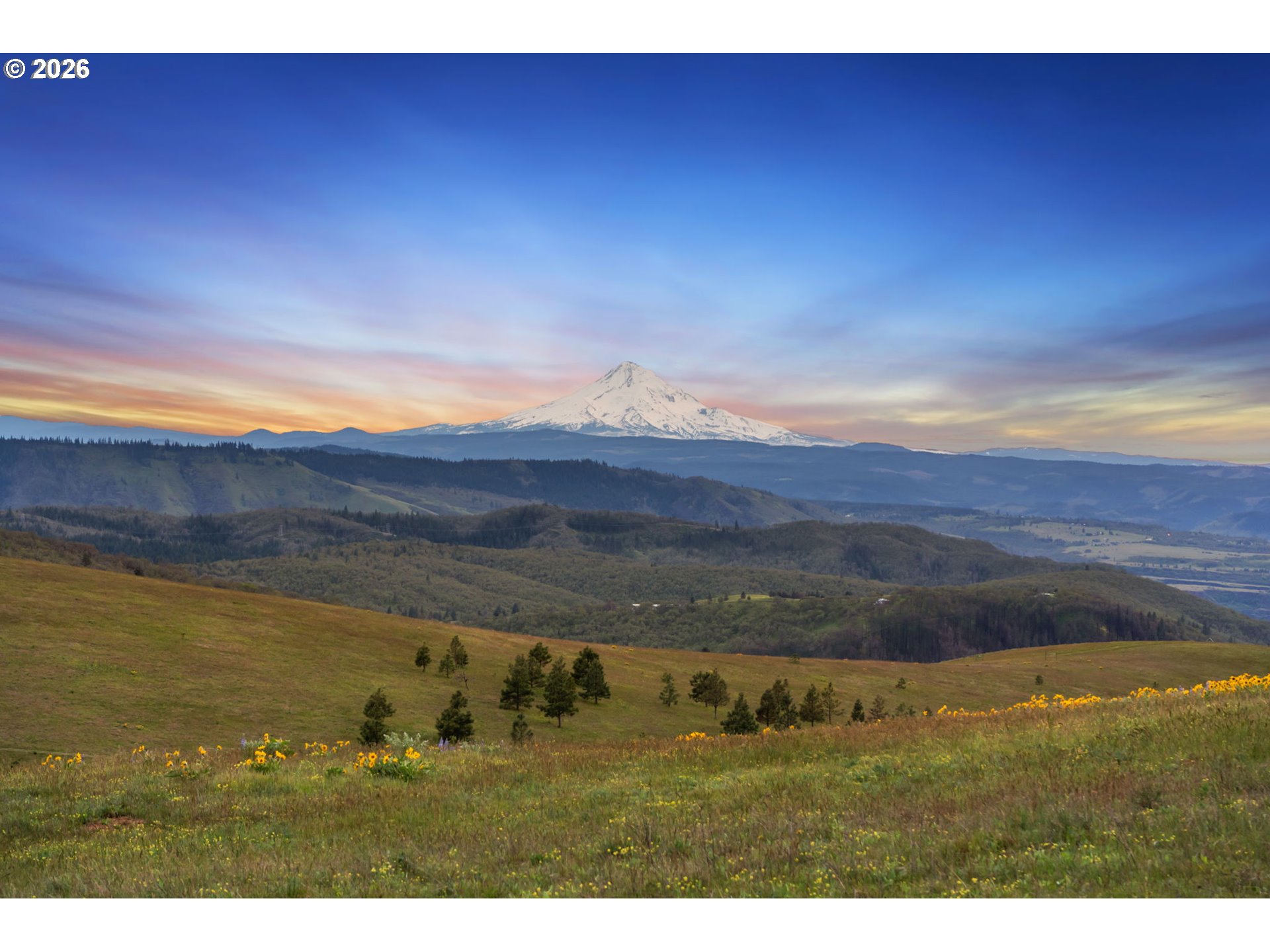 232 Oda Knight Road Lyle, WA 98635 - Photo 3 of 43