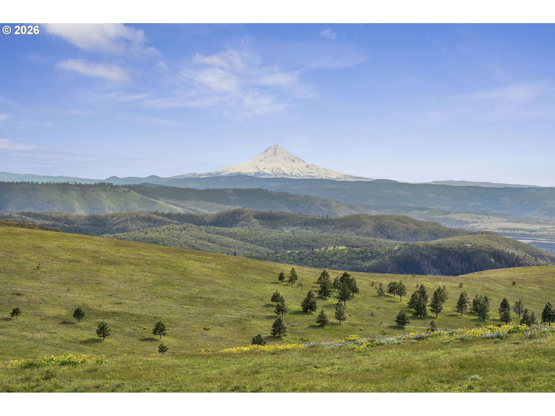 232 Oda Knight Road Lyle, WA 98635 - Photo 37 of 43