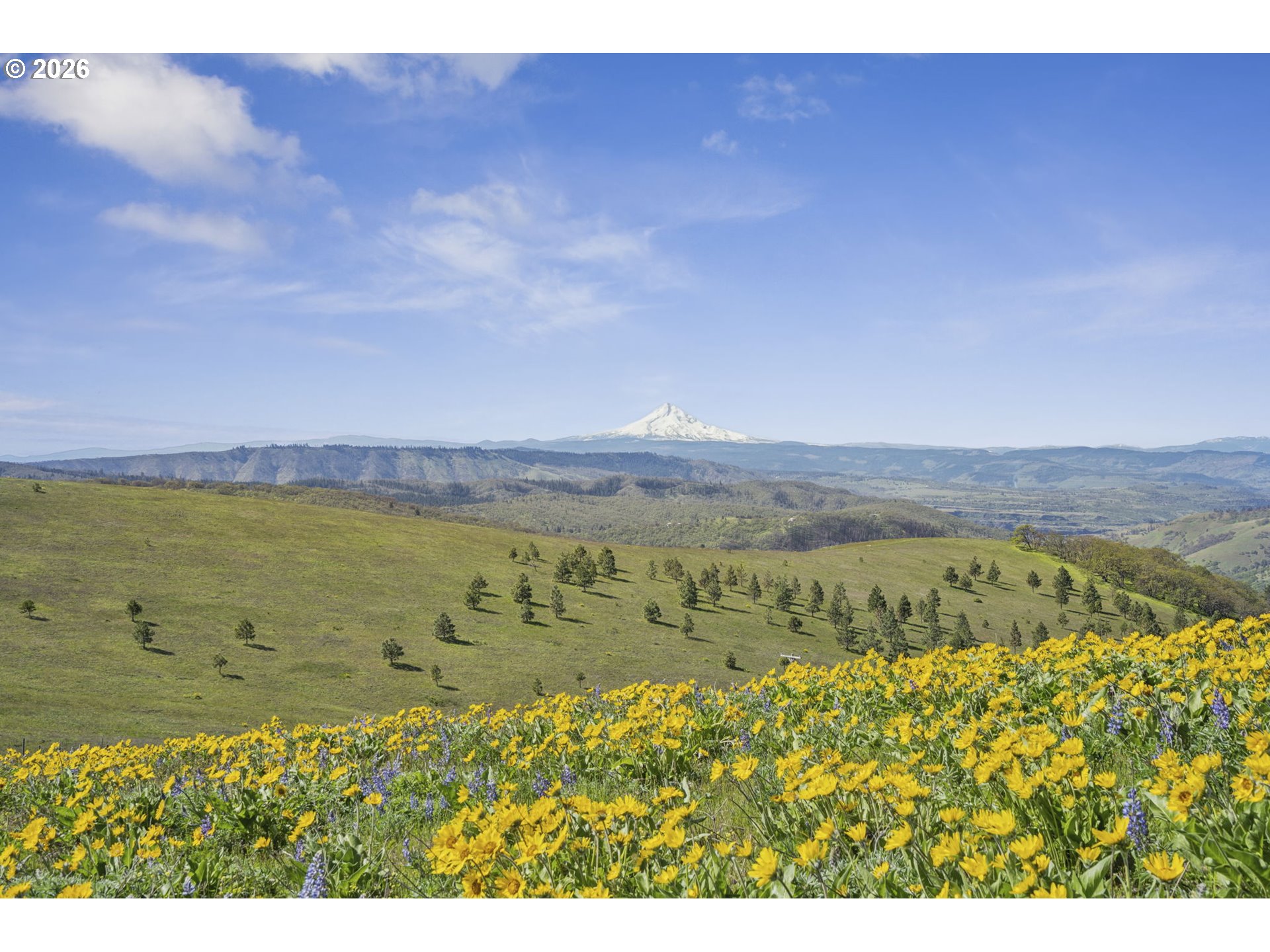 232 Oda Knight Road Lyle, WA 98635 - Photo 38 of 43