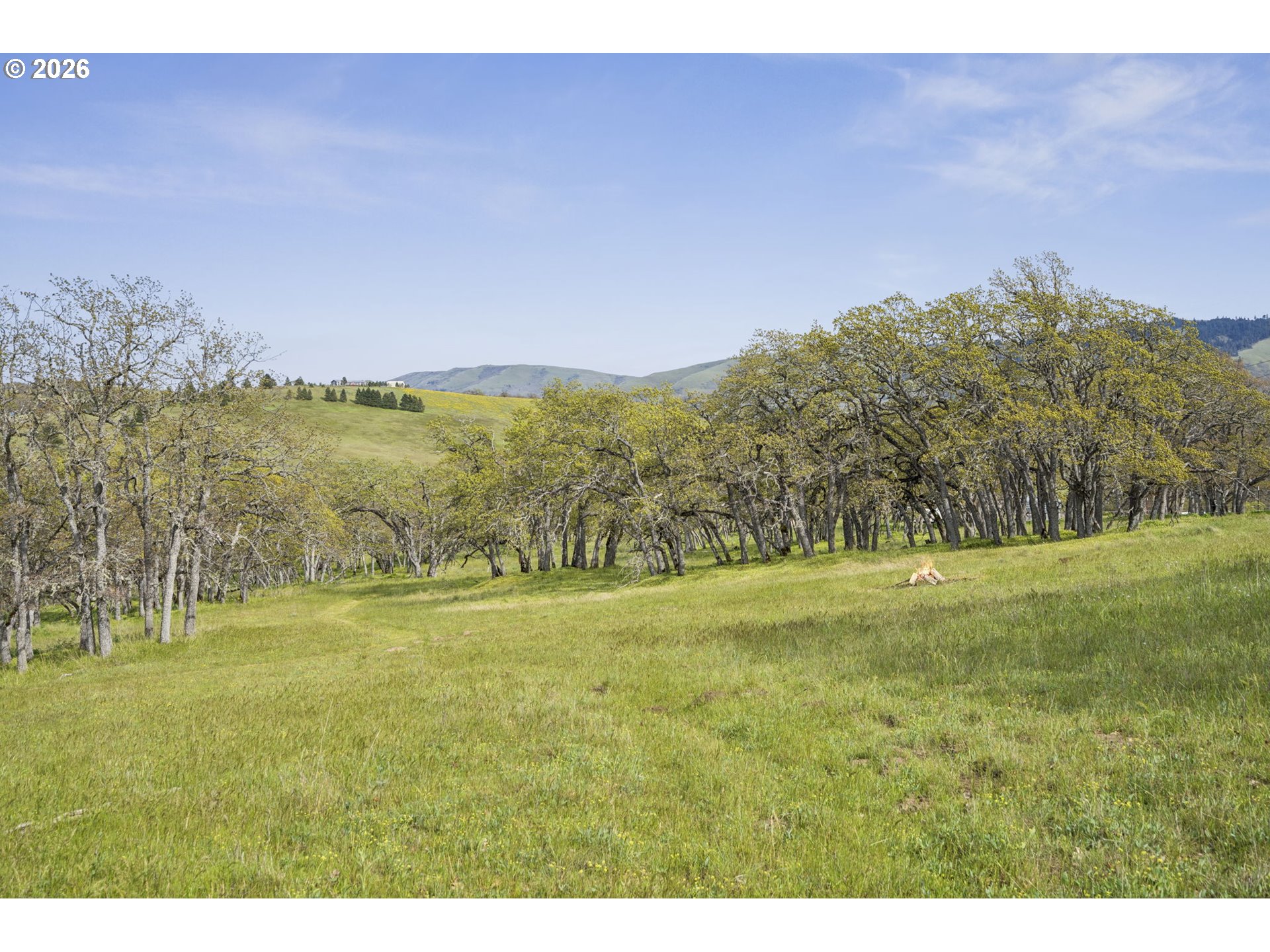 232 Oda Knight Road Lyle, WA 98635 - Photo 39 of 43