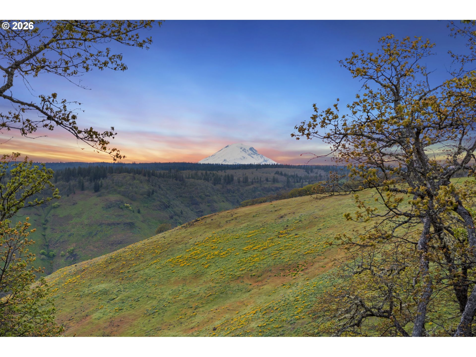 232 Oda Knight Road Lyle, WA 98635 - Photo 4 of 43