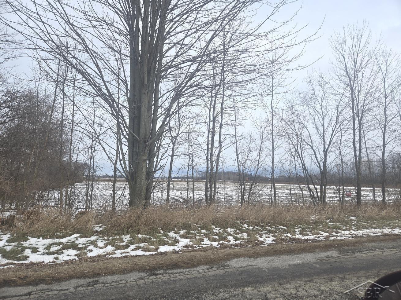 7550 A Pierce Road Freeland, MI 48623 - Photo 2 of 6