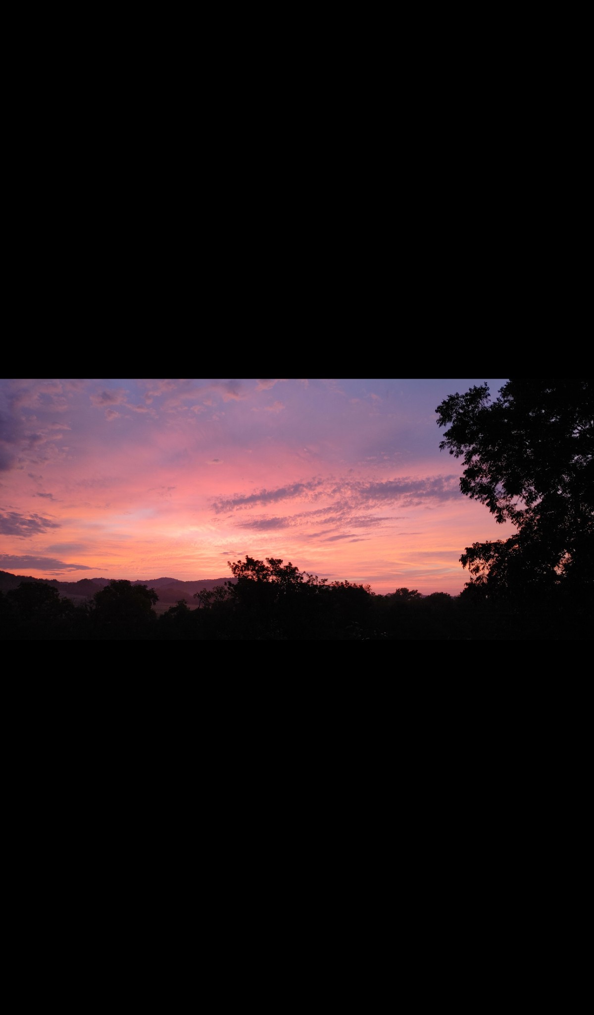 699 Rock Bridge Road Gallatin, TN 37066 - Photo 25 of 35 a view of sunset