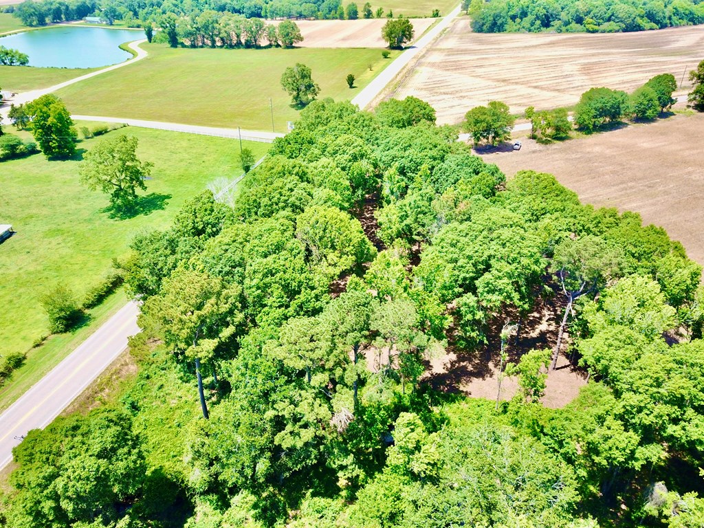 92 County Road 92 Slocomb, AL 36375 - Photo 19 of 58