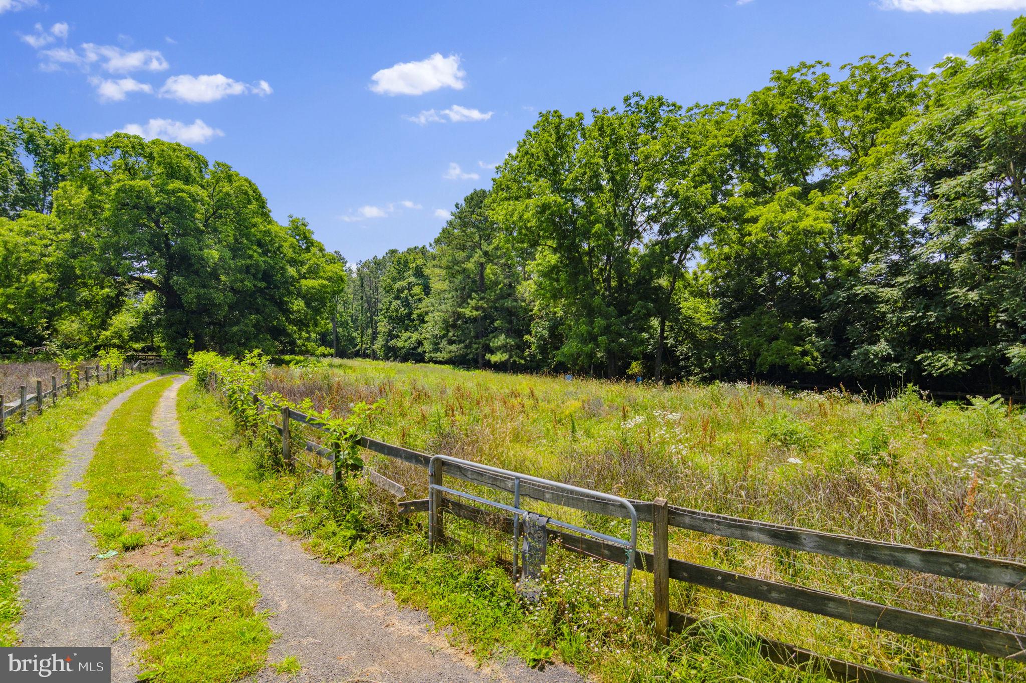 12067 Salem Church Road King George, VA 22485 - Photo 40 of 40 Gallery Image 40