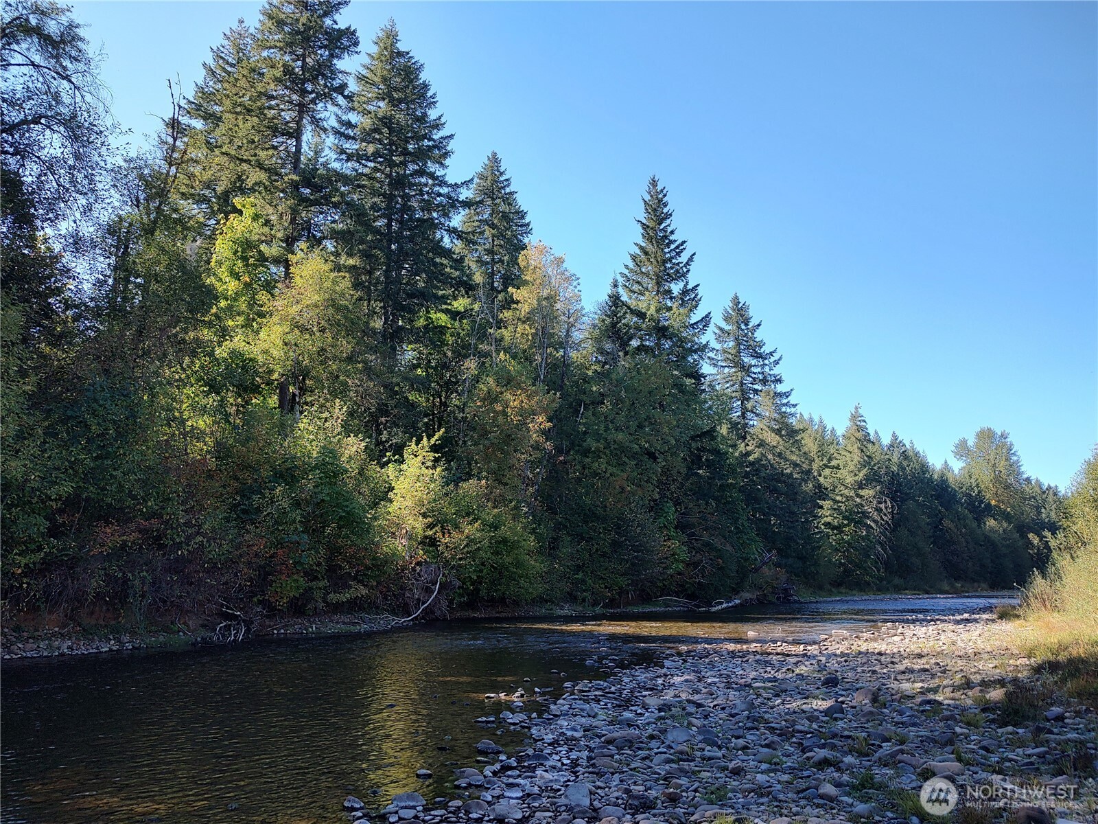 92 Cannavinna Road Carson, WA 98610 - Photo 3 of 11 a view of a lake with trees