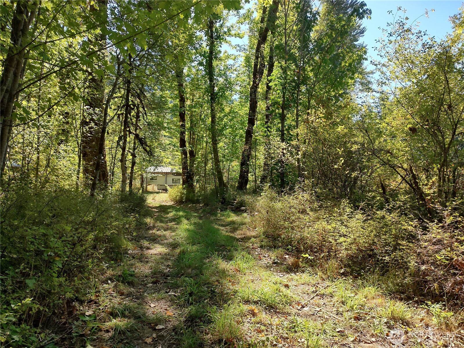 92 Cannavinna Road Carson, WA 98610 - Photo 6 of 11 a view of outdoor space and trees