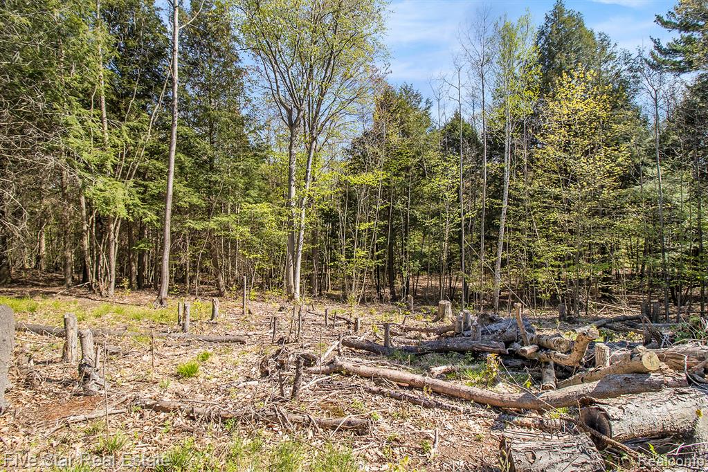0 Smith Road Onekama, MI 49675 - Photo 17 of 23
