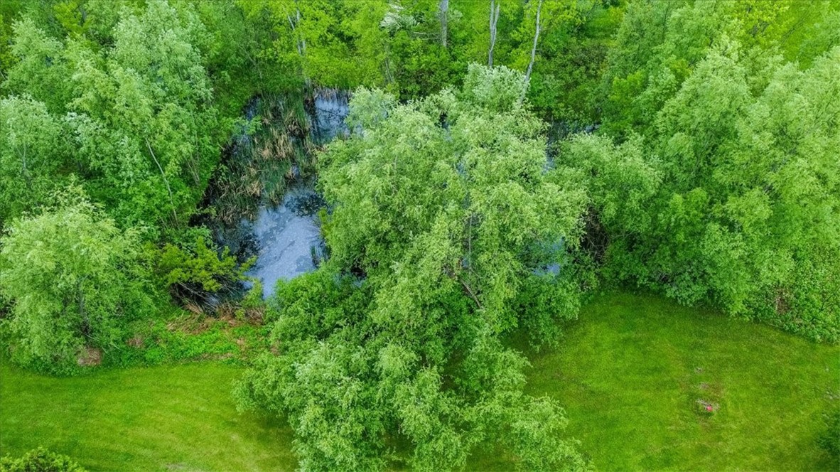 3503 Minsteed Road Marion, NY 14505 - Photo 28 of 29