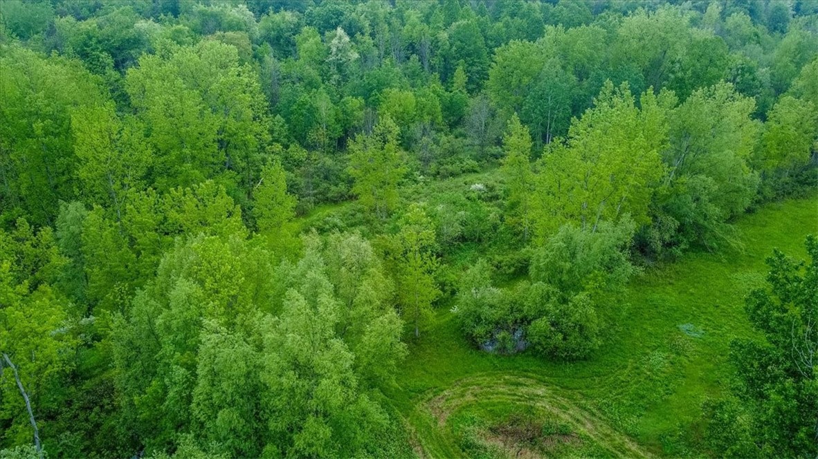 3503 Minsteed Road Marion, NY 14505 - Photo 29 of 29