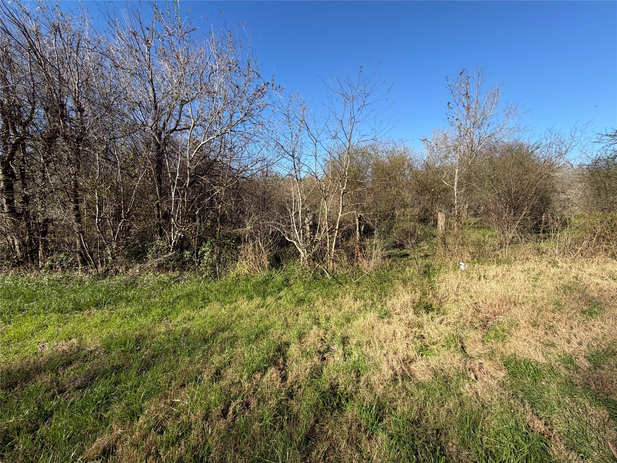 2504 Peach Ridge Road Brookshire, TX 77423 - Photo 11 of 12 a view of a yard with an trees