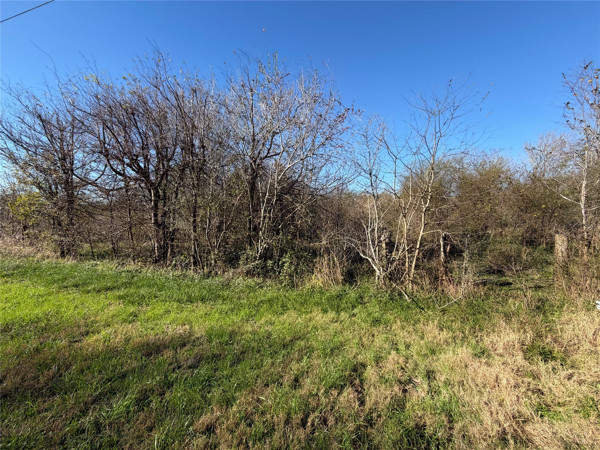 2504 Peach Ridge Road Brookshire, TX 77423 - Photo 5 of 12 a view of a lush green space