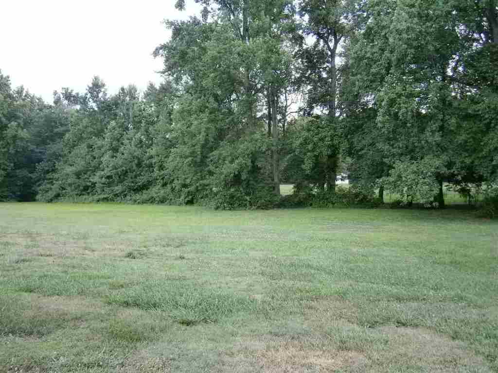 729 Cherokee Road Pelzer, SC 29669 - Photo 23 of 23