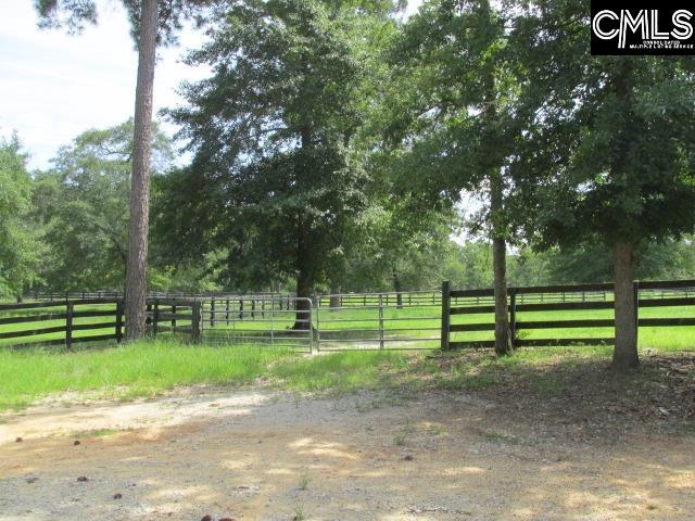 42 Brookwood Road Camden, SC 29020 - Photo 60 of 61