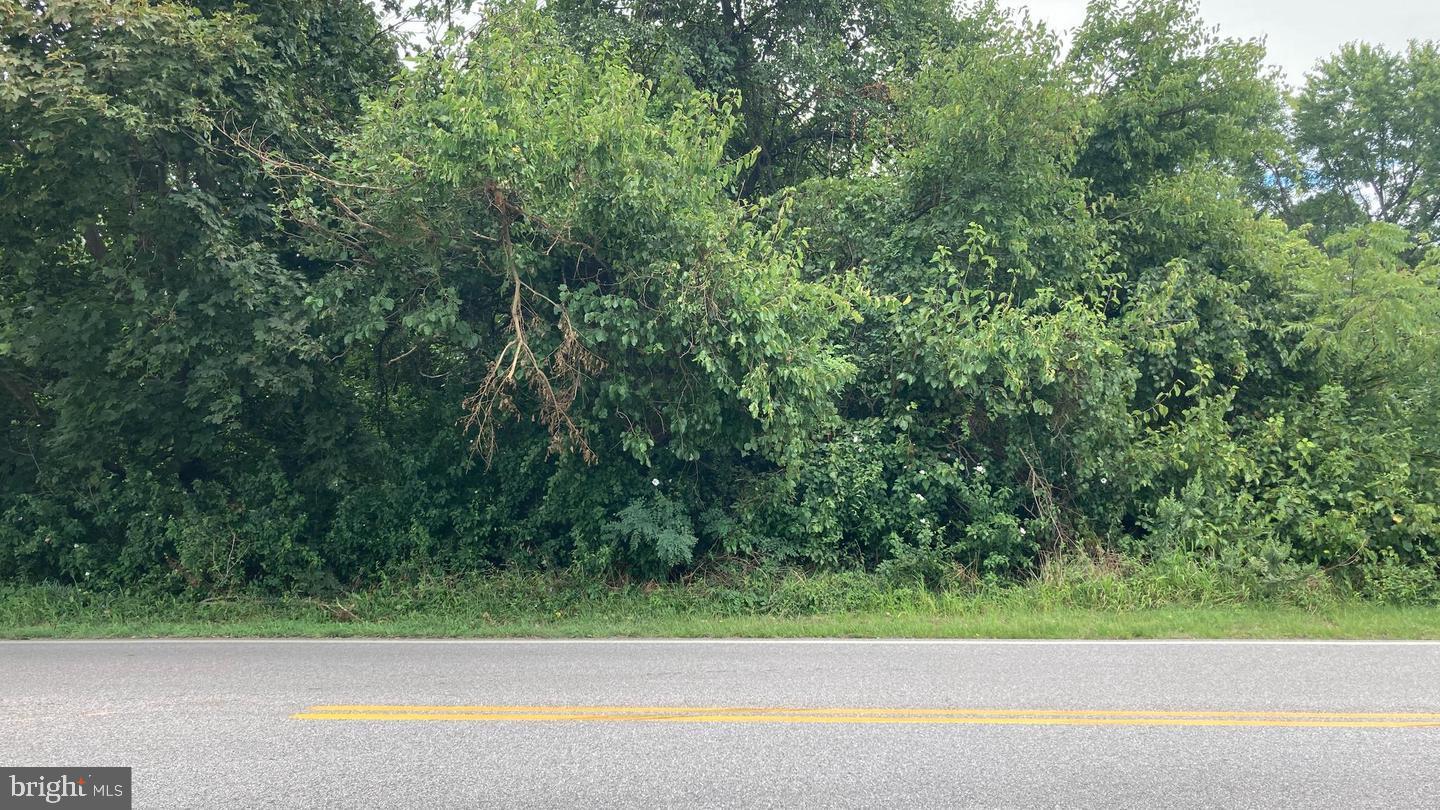 Ebenezer Road Middle River, MD 21220 - Photo 3 of 7 a view of a yard with a small space