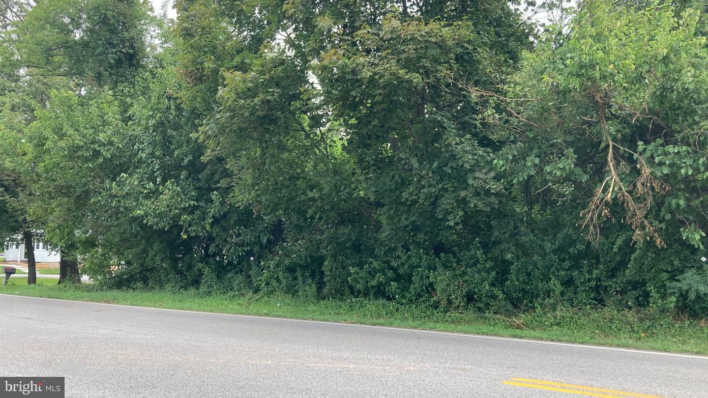 Ebenezer Road Middle River, MD 21220 - Photo 5 of 7 a view of a yard with a small trees