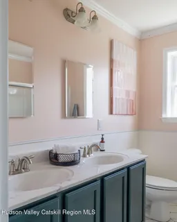 a bathroom with a sink and a toilet