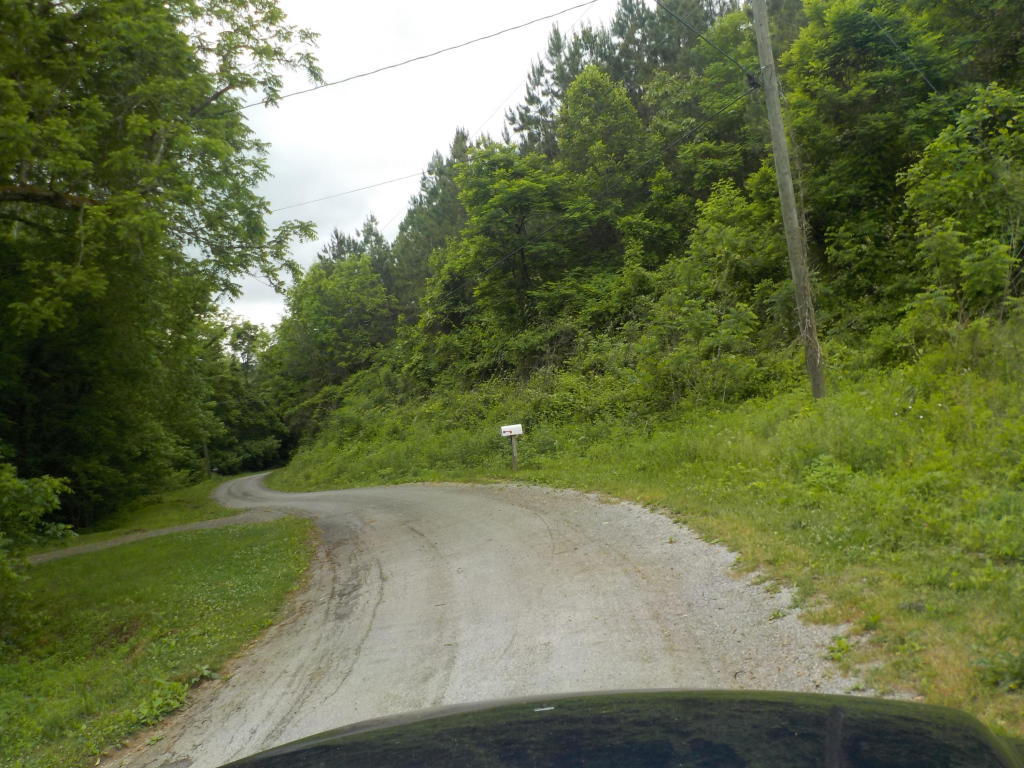 Old Springs Rd Road Maynardville, TN 37807 - Photo 8 of 8 Old Springs Rd 9
