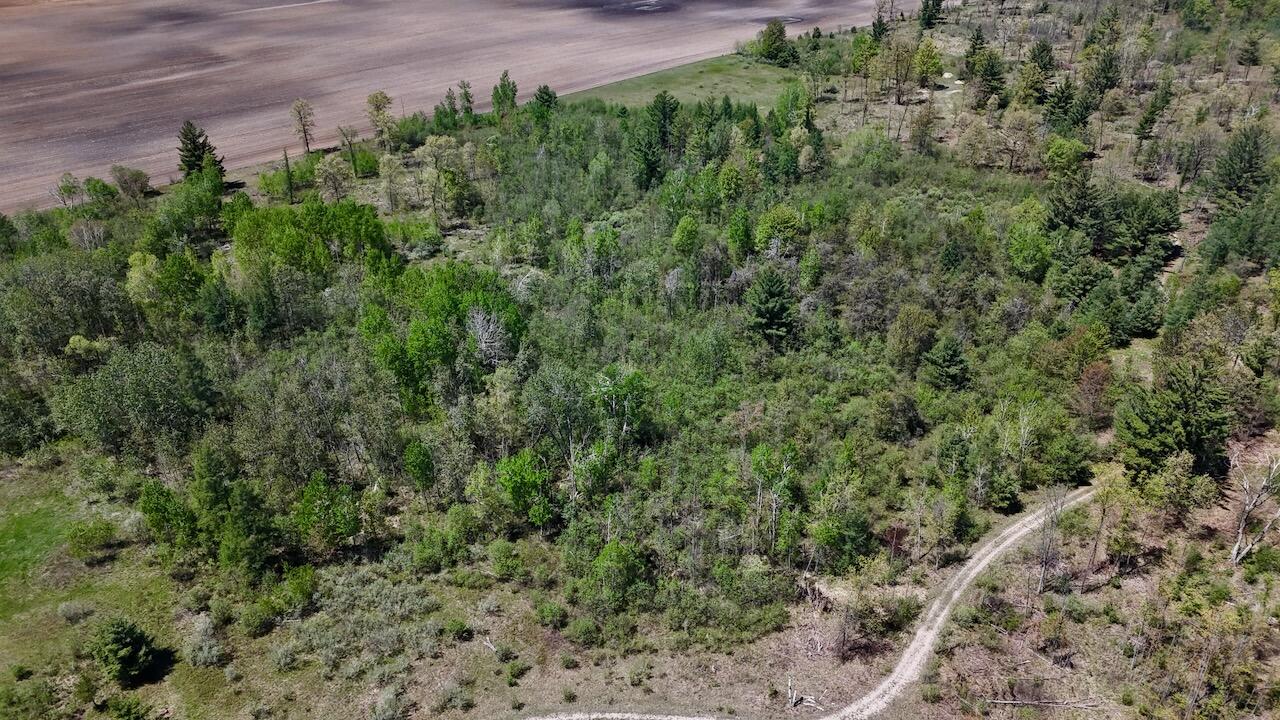 La Grant Road Alger, MI 48610 - Photo 39 of 46 030