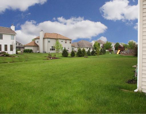 13523 Marigold Road Plainfield, IL 60544 - Photo 16 of 16 a view of a white house in front of a big yard