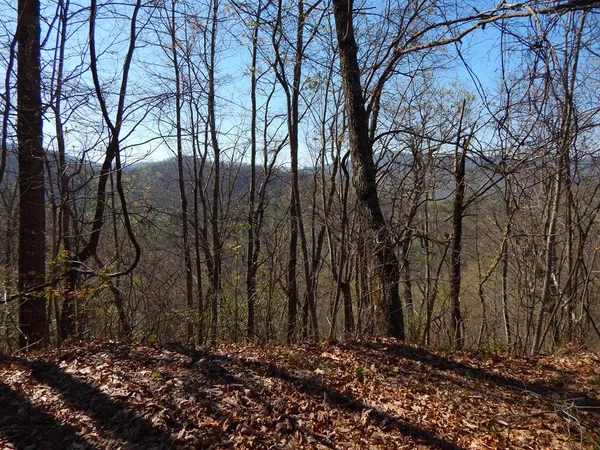 $18,000 | 13-14 Burnt Leaf Lane, Hayesville, NC 28904