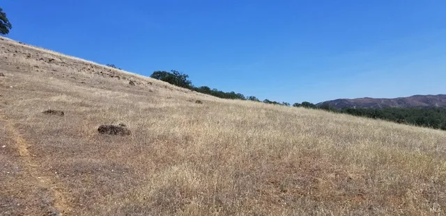 a view of a dry yard with mountains in the background