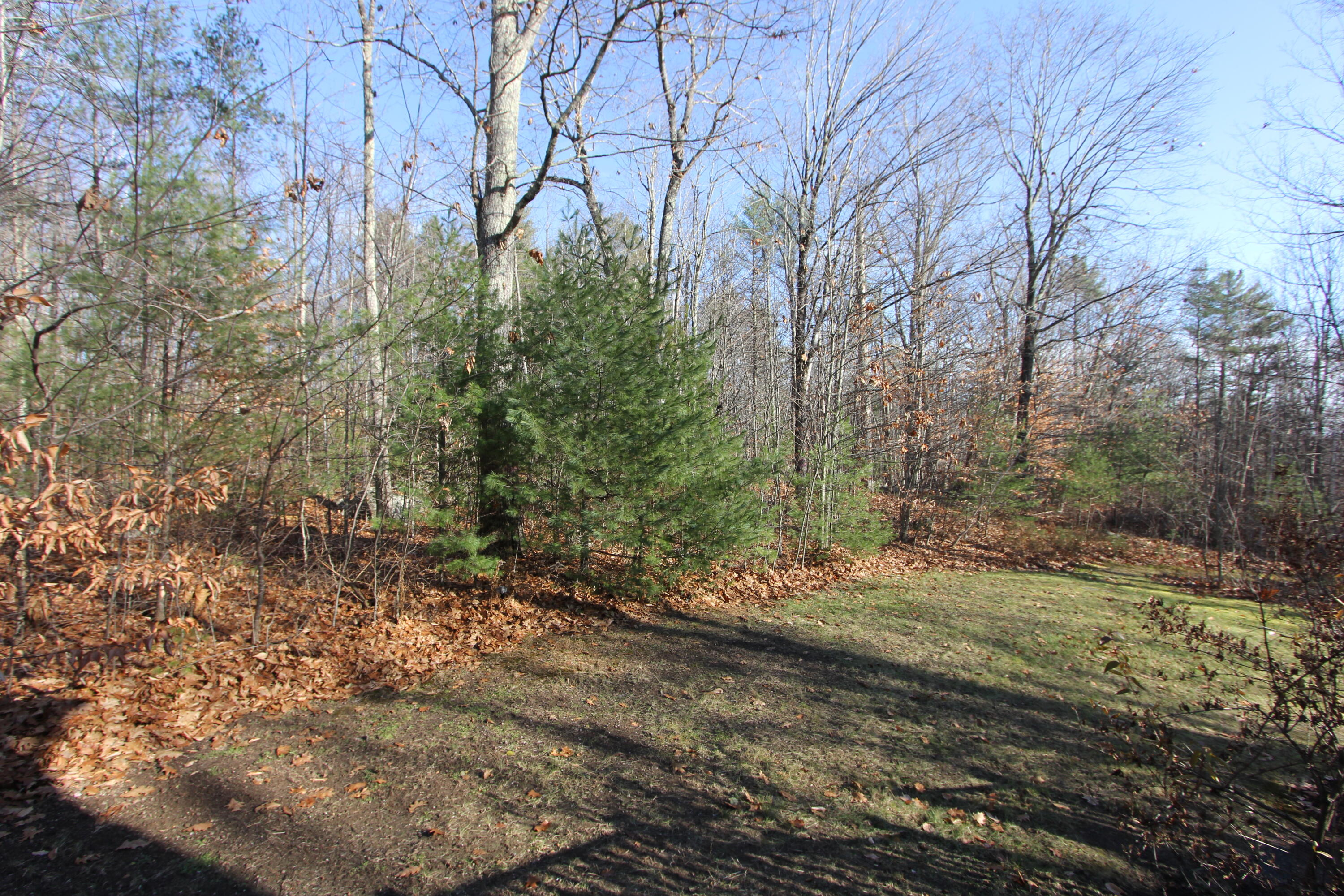 50 Cobb Road Poland, ME 04274 - Photo 95 of 97 IMG_9505
